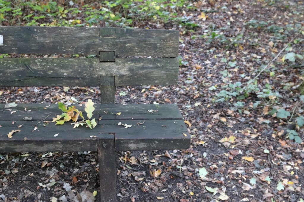 Wooden park bench covered in fallen autumn leaves